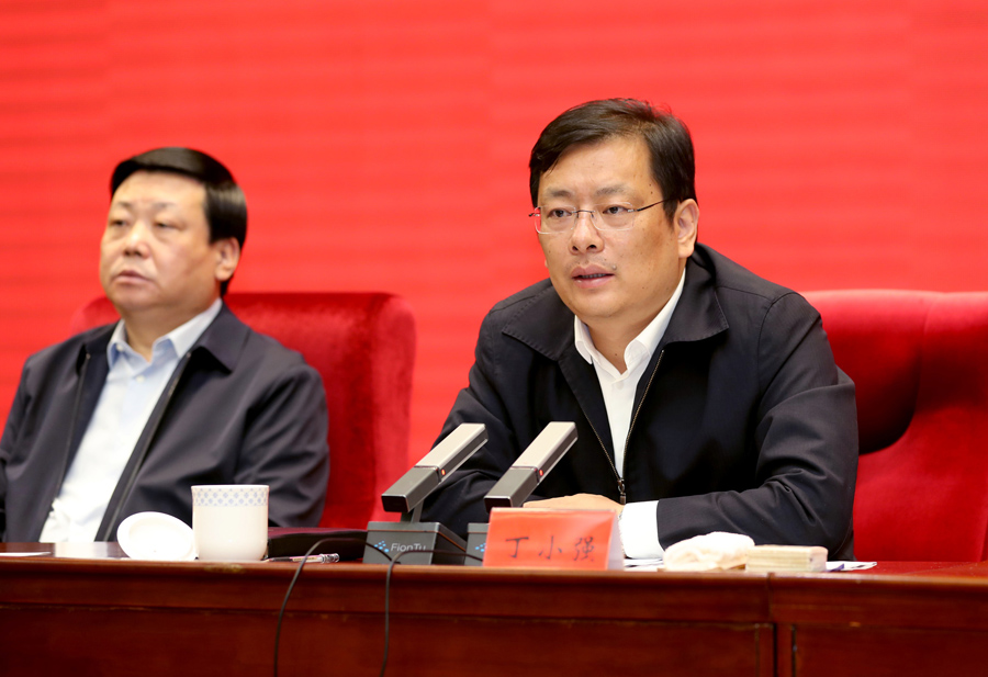 丁小强出席会议并讲话  记者 雷哲侠 摄