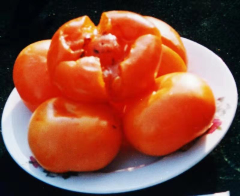微信图片_20190711155514.jpg