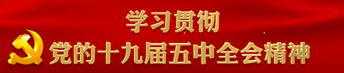 学习贯彻党的十九届五中全会